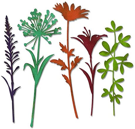 THINLITS TALLOS FLORES SILVESTRES #2 SIZZIX