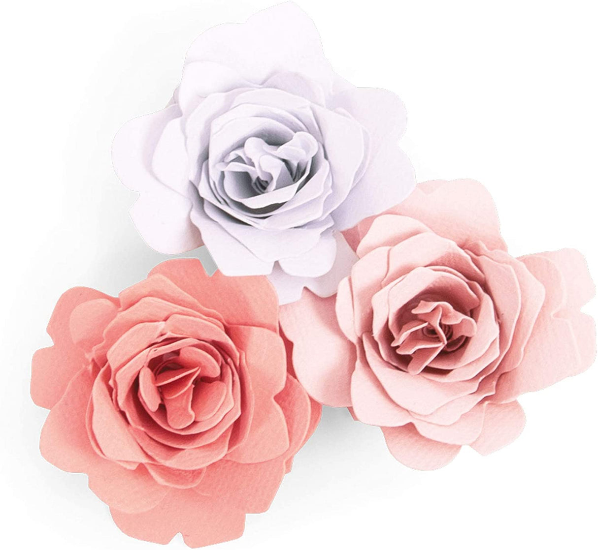 MATRIZ-TROQUEL BIGZ GRACE 3D SIZZIX