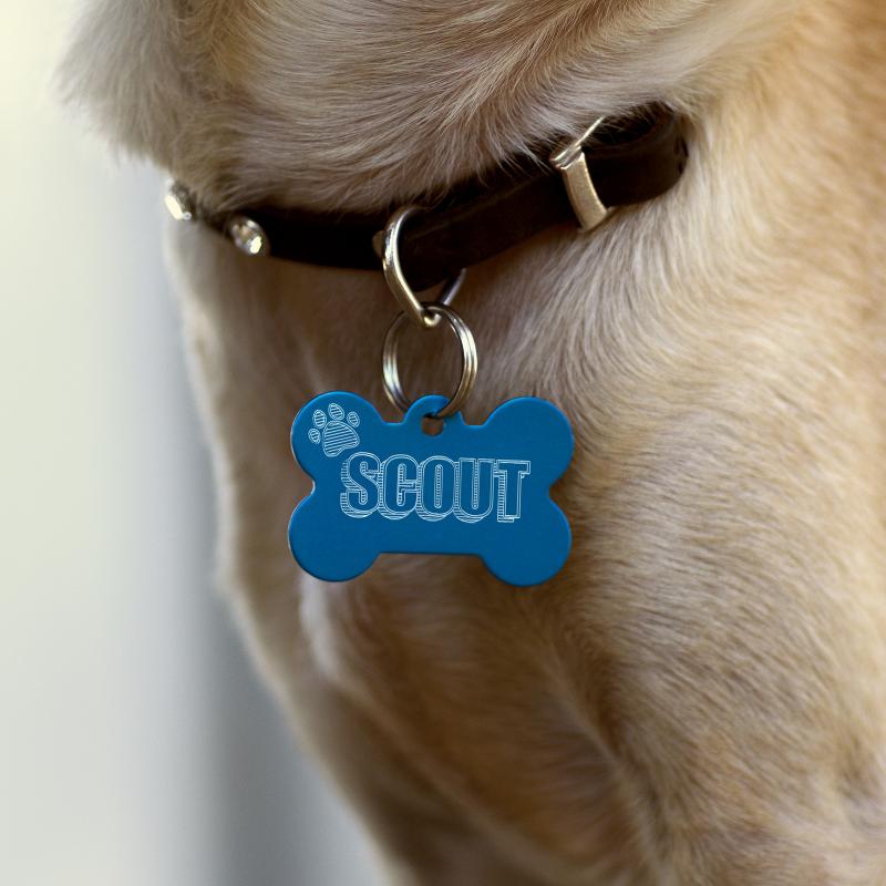 PLOTTER DE CORTE CURIO SILHOUETTE